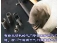 汽车维修-气门弹簧 (1867播放)
